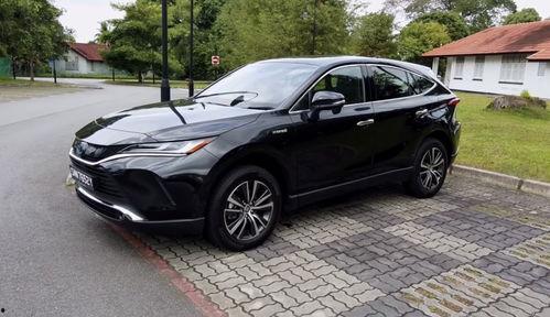 国产TSCD,引领科技潮流的创新力量