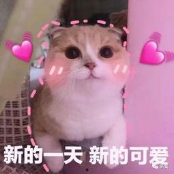 羊了个羊娱乐吃瓜